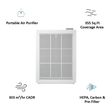 Buy Coway HEPA Filter Technology Air Purifier Washable Pre Filter